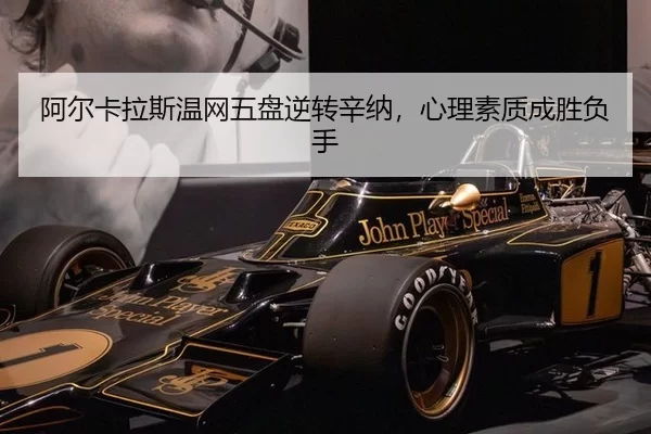 a-er-ka-la-si-wen-wang-wu-pan-ni-zhuan-xin-na-xin-li-su-zhi-cheng-sheng-fu-shou-2-332.jpg